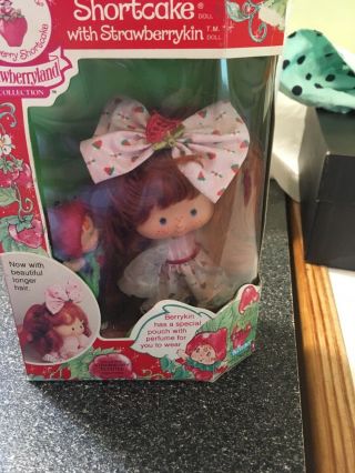 Vintage Strawberry Shortcake Berrykin Doll Complete With Critter And Comb