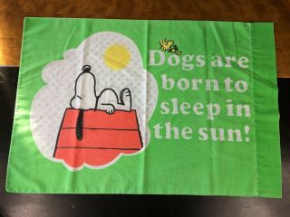 Vtg 70s 80s Peanuts Snoopy Woodstock Pillow Case Doghouse Green Background Guc