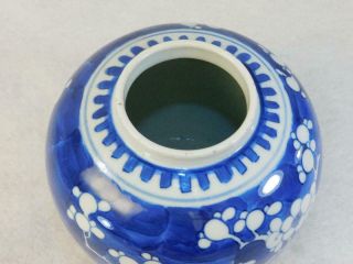 Antique Prunus Chinese Ginger Jar DOUBLE BLUE RING MARK with LID No Res 6 