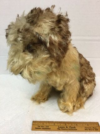 Antique Vintage Plush Mohair Sitting Dog With Glass Eyes