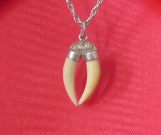 Antique Silver Faux Double Tiger Tooth Claw Charm Fob Pendant Chain Engraved Raj