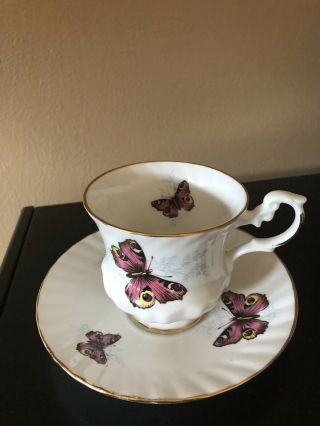 Vintage Royal Dover Bone China Tea Cup And Saucer With Butterflies