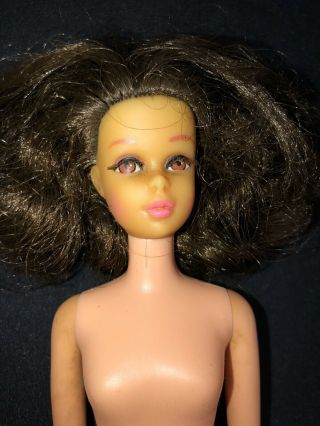 Vintage Tnt Brunette No Bangs Francie Barbie Doll