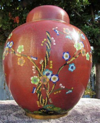 Fine Rare Antique Chinese Cloisonne Ginger Jar And Cover - China Mark