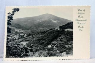 Virginia Va Shenandoah National Park Skyline Drive Postcard Old Vintage Card Pc