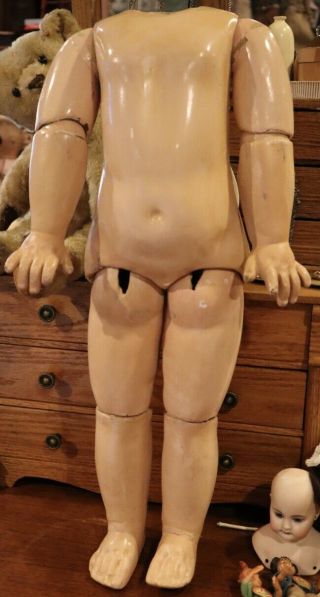 Antique Rare 20 " French Jumeau Straightwristed Doll Body For French Bisque Doll