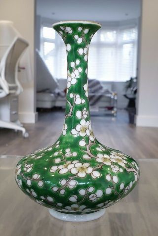 Elegant Chinese / Japanese 19th / 20th C Kangxi Style Green Prunus Pattern Vase