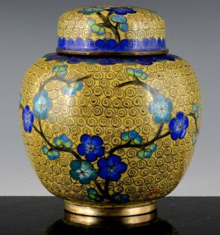 Fine Antique Chinese Cloisonne Yellow Enamel Prunus Lidded Tea Caddy Jar