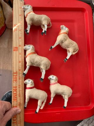 5 Smaller Antique German Putz Sheep With Wood Legs,  Compo Heads