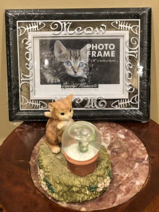 Vintage Cat Ball Snow Globe Wind Up Musical “you Are My Sunshine “,  Frame