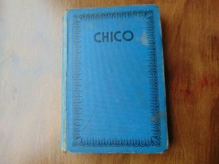 Vintage Book Chico The Story Of A Homing Pigeon Lucy M Blanchard 1932
