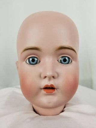 Antique German Grand Size Kestner 171 16 1/2 Bisque Socket Doll Head Blue Eyes