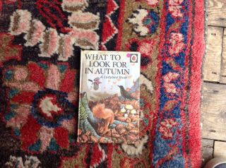 Ladybird Book - What To Look For In Autumn - Series 536 - 0 7214 00 99 X
