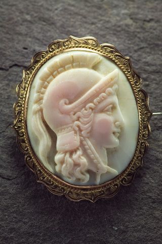 Antique Victorian Italian Rose Gold Pink Conch Shell Cameo Brooch Athena C1890