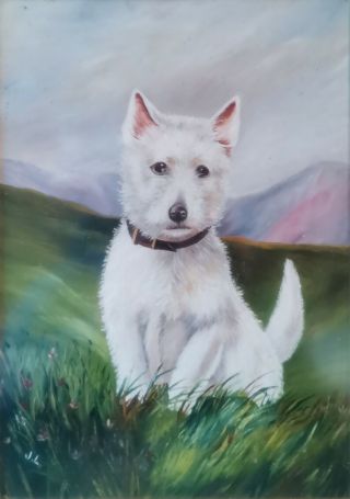 British Scottish Terrier Scotty Dog Portrait,  Antique 19thC Signed Oil Painting 2