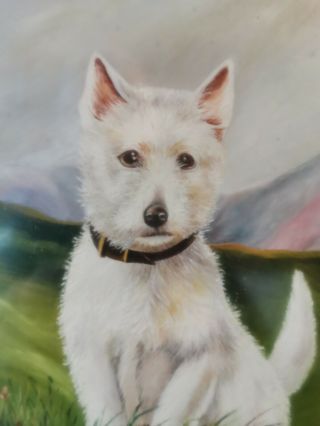 British Scottish Terrier Scotty Dog Portrait,  Antique 19thC Signed Oil Painting 3