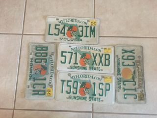 5 Florida License Plates