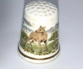 Vintage Porcelain Souvenir Collectible Thimble - DEER in The Wild - 2