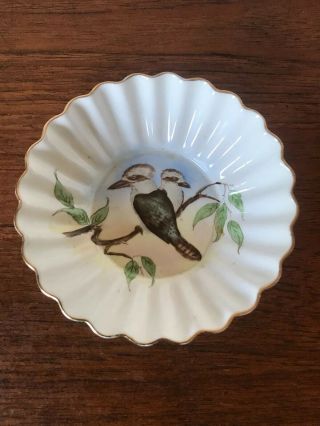 Antique Shelley Porcelain Kookaburras Pin/butter/trinket Dish 1913 - 1926