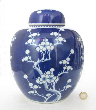 Lge Antique Chinese Prunus Porcelain Ginger Jar,  Kangxi Double Ring Mark,  19th C