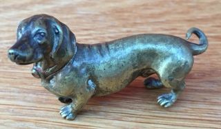 Charming Well Patinated Antique Bronze Model Of A Sausage Dog / Dachshund