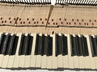 Antique Salvaged Complete Set 88 Piano Keys And Arm - Wood - White Black - 1940 