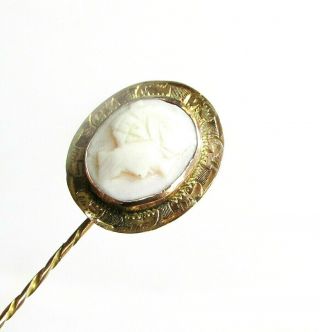 Old Antique 9ct Gold Carved Shell Cameo Stick Pin