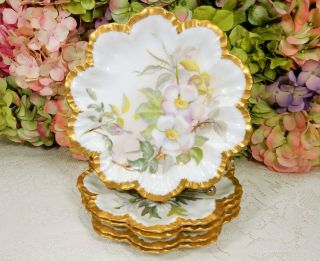 5 Gorgeous Antique Limoges French Porcelain Hand Painted Plates Floral Gold