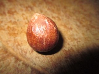 Early Vintage Antique Italian Alabaster Stone Fruit Stone Nut Brown Hazelnut Nm,