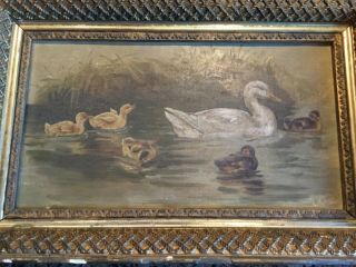 Antique Victorian Oil Painting Ducks Ducklings Signed Listed Artist ?