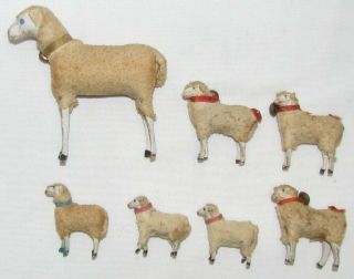 7 Antique German Putz Sheep With Wood Legs,  Compo Heads