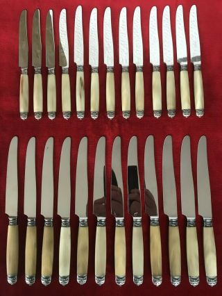 Set Of 24 French Antique Horn Handle Knife Flat Table Dessert Cheese France