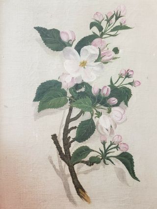 French Counry Old Antique Floral Oil Painting Pink Wild Roses Dogwood Gesso Frm
