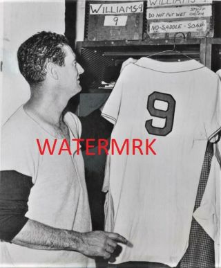 1960 Ted Williams Boston Red Sox Al Hof 8x10 Photo ^ ^