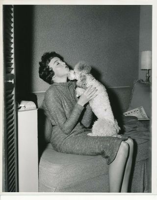 Carolyn Jones Poodle Dog Candid Dressing Room Vintage 