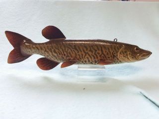 Awesome Vintage Harley Ragan Musky Fish Spearing Decoy Ice Fishing Lure