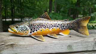 Competition Trout Fish Decoy Carved By Jared Sypnieski Spearing Lure