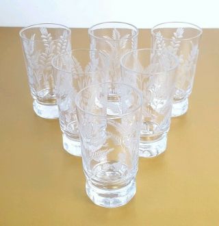 Set Of 6 Vintage Etched Clear Liqueur Shot Glasses Tumblers 4 "