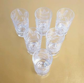 Set of 6 Vintage Etched Clear Liqueur Shot Glasses Tumblers 4 