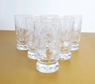 Set of 6 Vintage Etched Clear Liqueur Shot Glasses Tumblers 4 