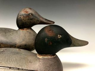 Mason Decoy Company Mallard Pair Duck Hunting Decoys Old Antique Vintage 2