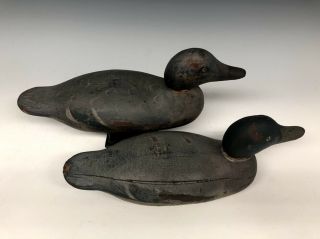 Mason Decoy Company Mallard Pair Duck Hunting Decoys Old Antique Vintage 3