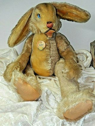 Steiff Lulac Rabbit W/ Button & Tag Blue Eyes 24 " Jointed German