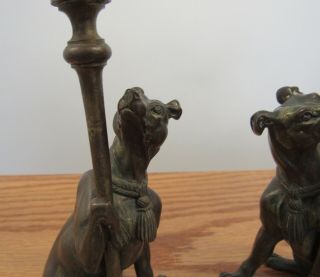 Pair antique Victorian? bronze dog candle holders candlesticks 7 