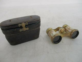 Vintage F.  W.  Spanenberg Mother Of Pearl And Brass Opera Glasses W/ Case