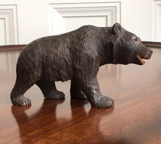 An Antique 19th Century Black Forest Carved Wood Bear.  7cm High.