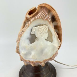 Antique Vintage Hand Carved Conche Shell Cameo Lamp Order