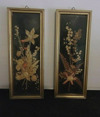 2 Vintage Dried/pressed Flowers In Gold Trim Frames 8 3/8 " Long X 3 1/4 " Wide