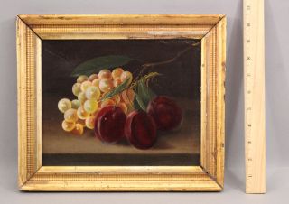 19thc Antique American Primitive Fruit Still Life Oil Painting,  Plums & Grapes
