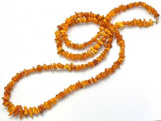Vintage Baltic & Butterscotch Amber Long Beaded Chip Strand Necklace 46.  8g 44 "